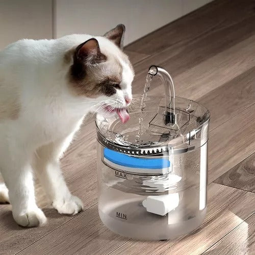 Fuente bebedero para Mascotas